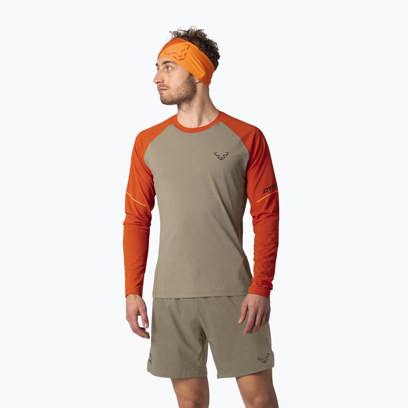 Мъжки лонгслив за бягане DYNAFIT Alpine Pro alabama/5490i