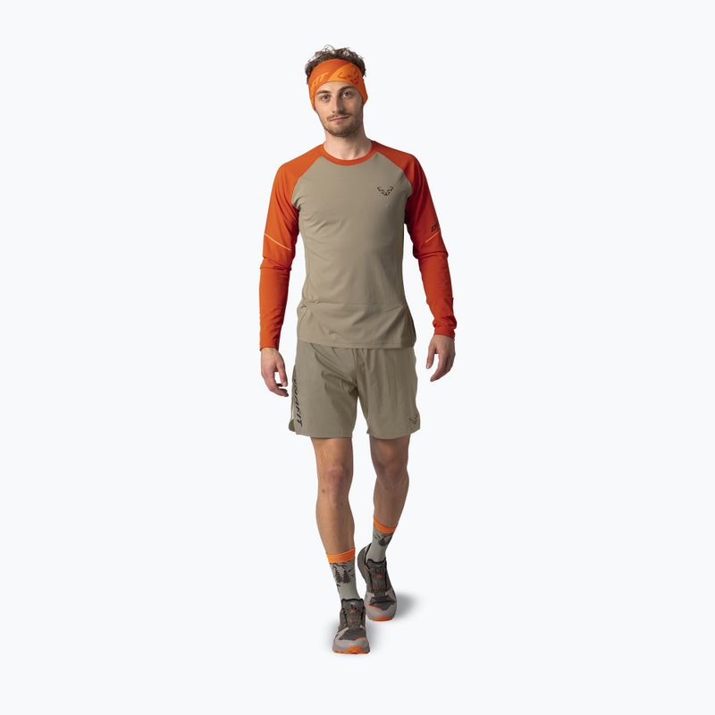 Мъжки лонгслив за бягане DYNAFIT Alpine Pro alabama/5490i 2