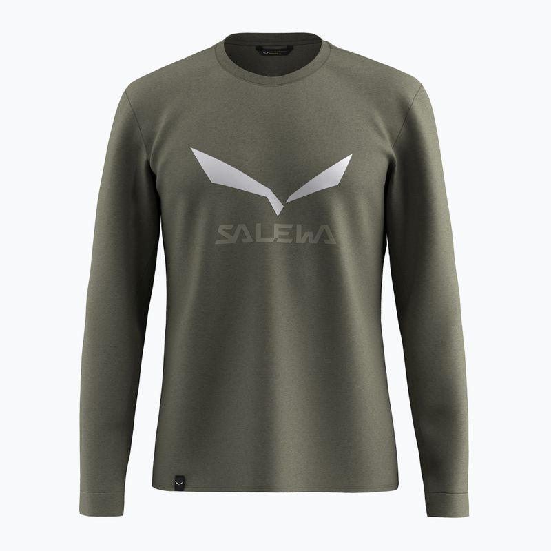 мъжки лонгслив Salewa Solidlogo Dry faded green