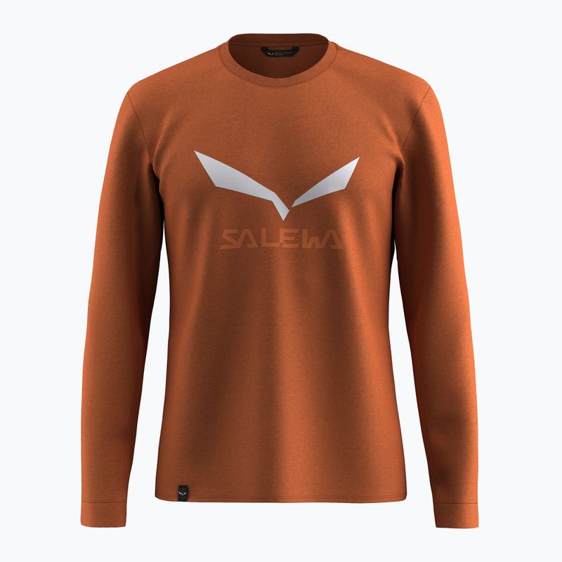 Мъжка тениска с дълъг ръкав Salewa Solidlogo Dry bombay brown