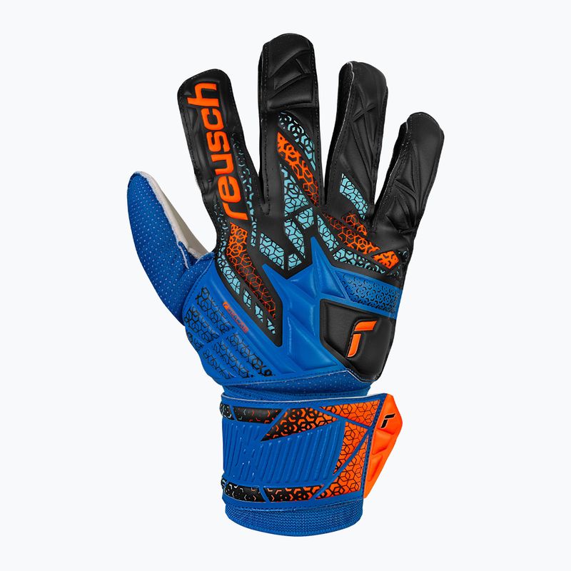 Вратарски ръкавици Reusch Attrakt Solid electric blue/ shocking orange 2