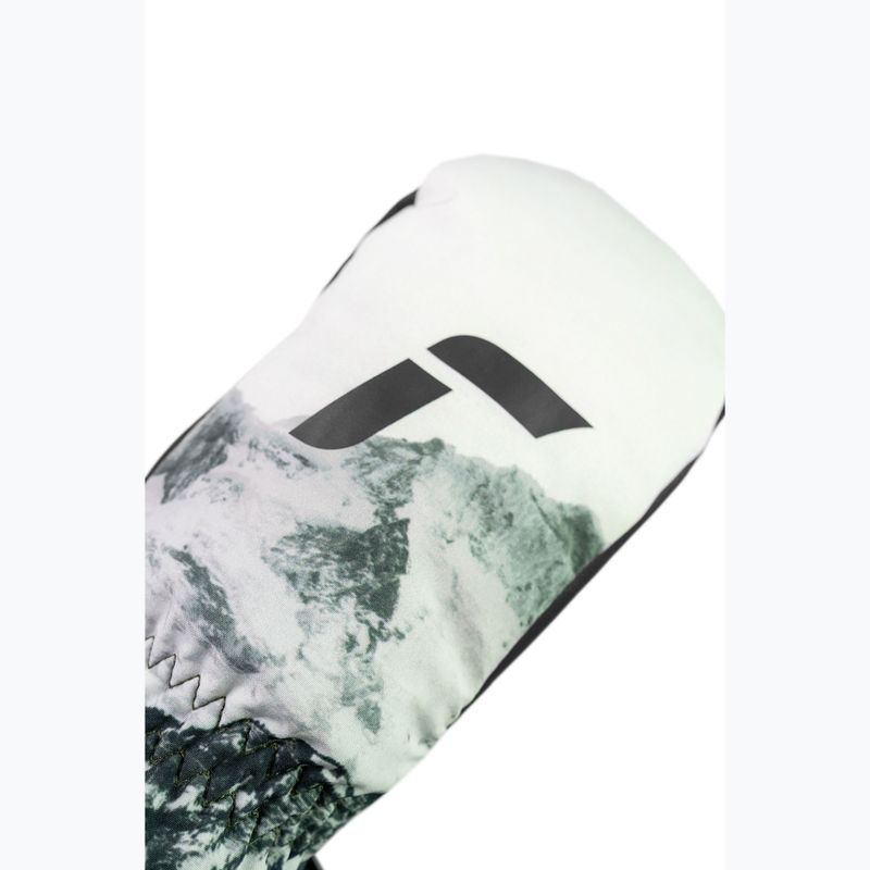 Детски скиорски ръкавици Reusch Carter R-Tex XT Junior Mitten black/mountain 5