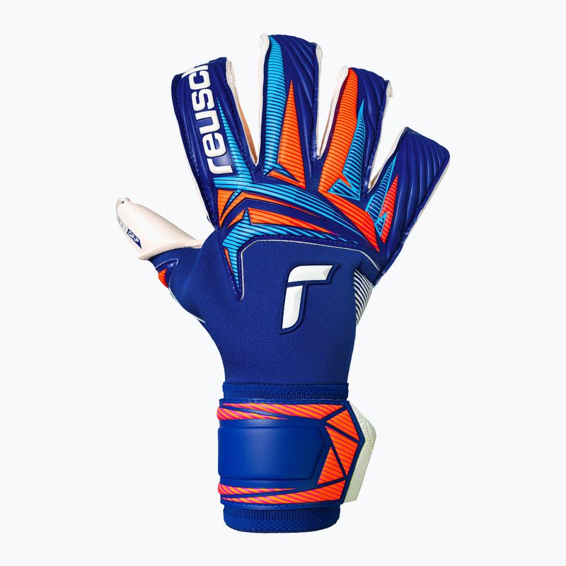 Вратарски ръкавици Reusch Attrakt Gold X Evolution sharp blue/white/shocking orange 2