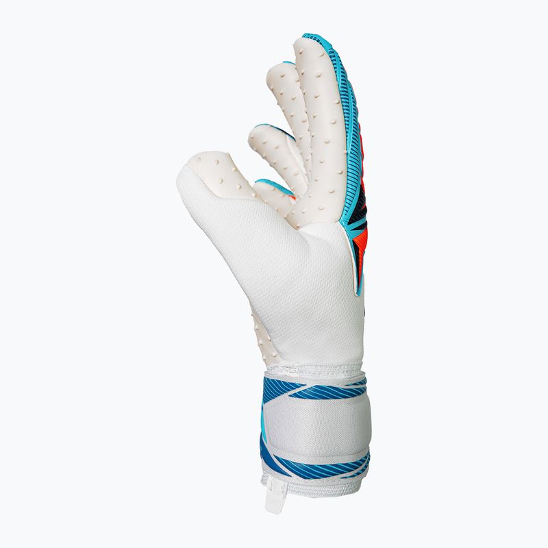 Вратарски ръкавици Reusch Attrakt SpeedBump white/light blue 4