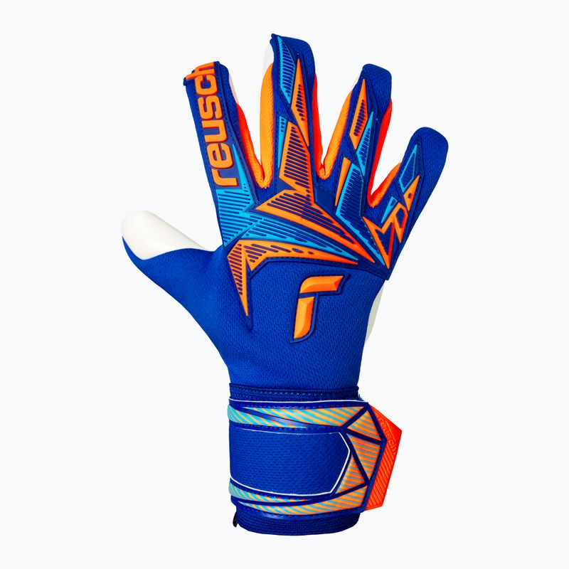 Вратарски ръкавици Reusch Attrakt Freegel Advance sharp blue/shocking orange 2