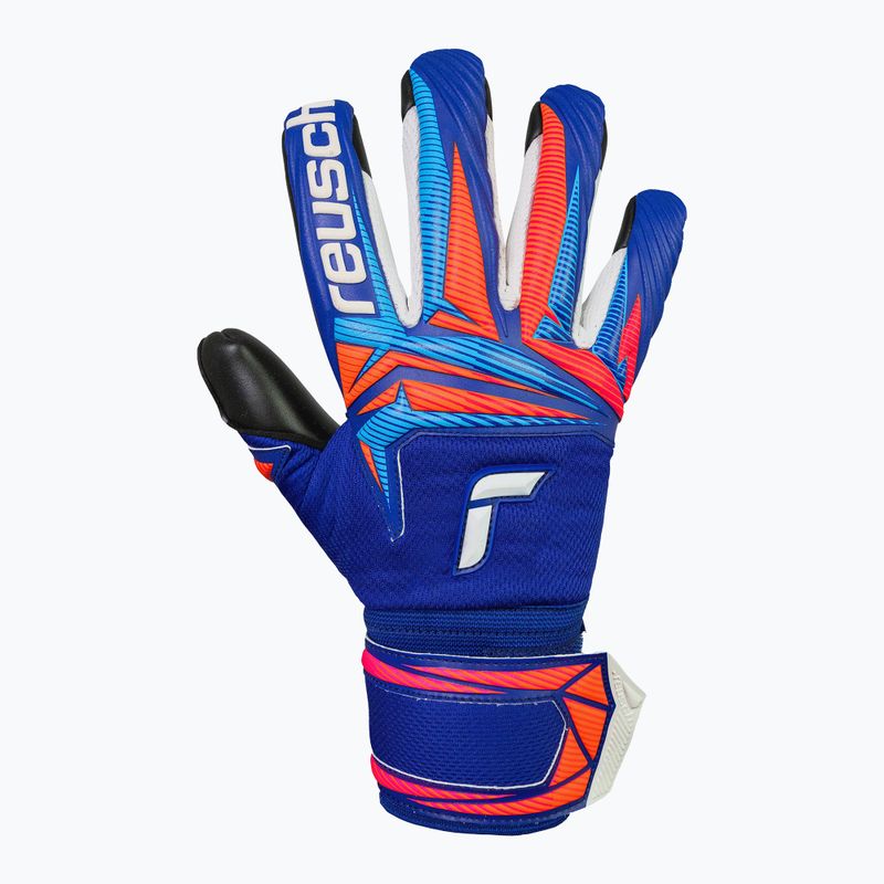 Вратарски ръкавици Reusch Attrakt Infinity Evolution NC sharp blue/shocking orange/black 2