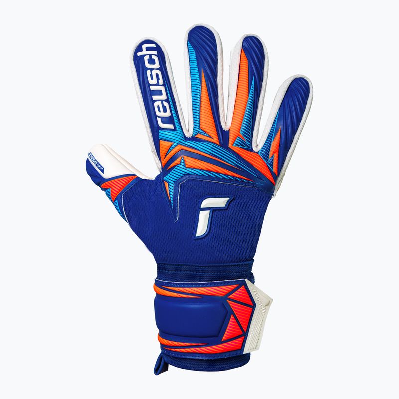 Вратарски ръкавици Reusch Attrakt Advance sharp blue/white/shocking orange 2