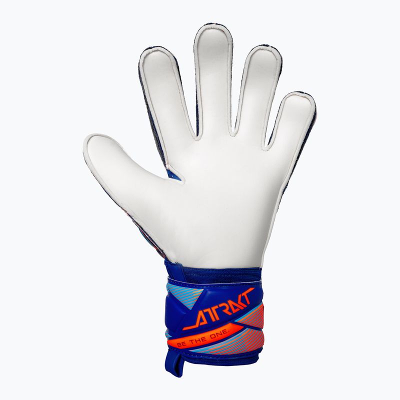 Вратарски ръкавици Reusch Attrakt Solid sharp blue/shocking orange 3