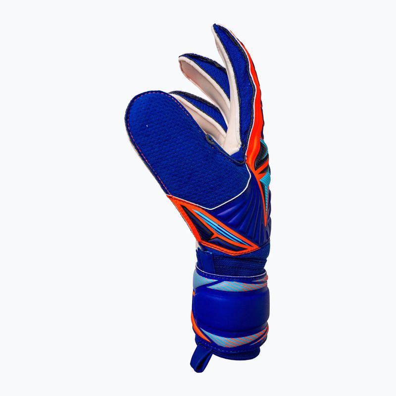 Вратарски ръкавици Reusch Attrakt Solid sharp blue/shocking orange 4