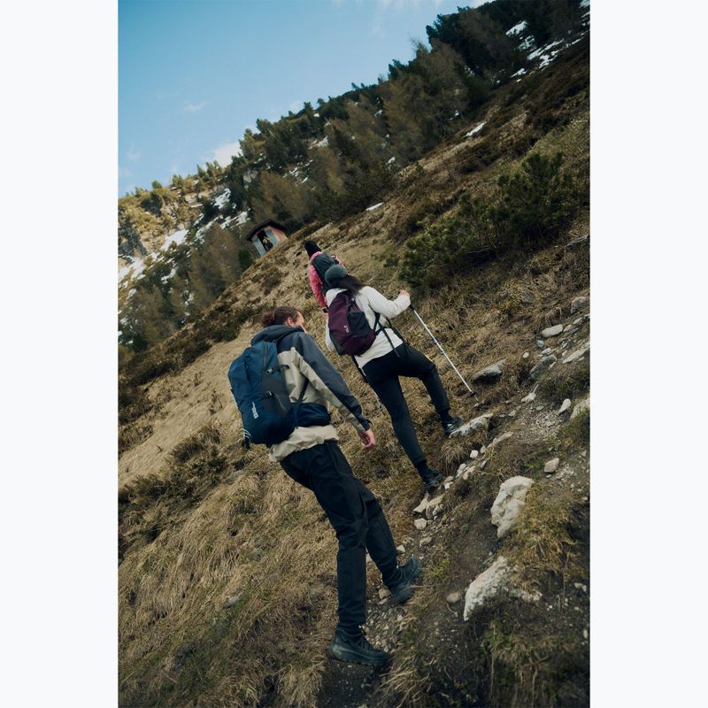 Мъжки туристически обувки Jack Wolfskin Wild Hike Texapore Mid black 10