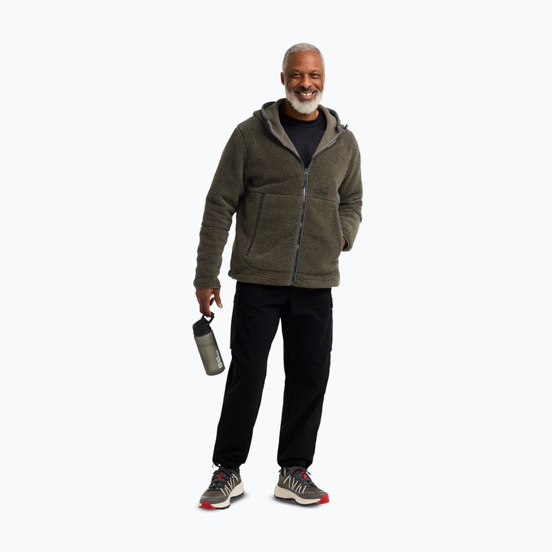 Мъжки туристически обувки Jack Wolfskin Wild Hike Texapore Low obsidian moss 5