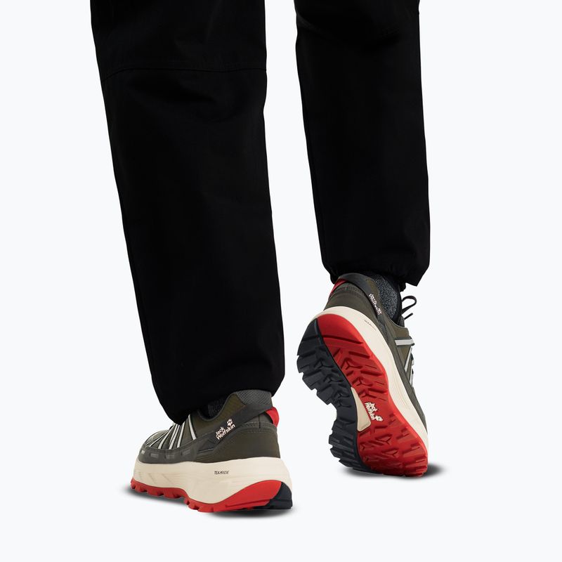 Мъжки туристически обувки Jack Wolfskin Wild Hike Texapore Low obsidian moss 6