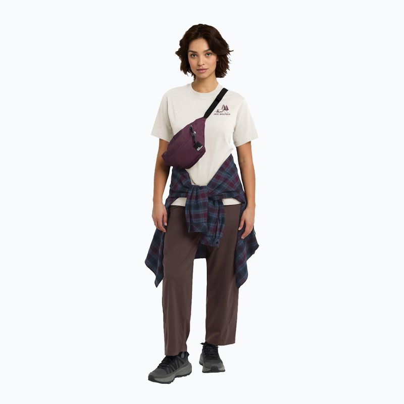 Дамска тениска Jack Wolfskin Cadena tent cotton white 2