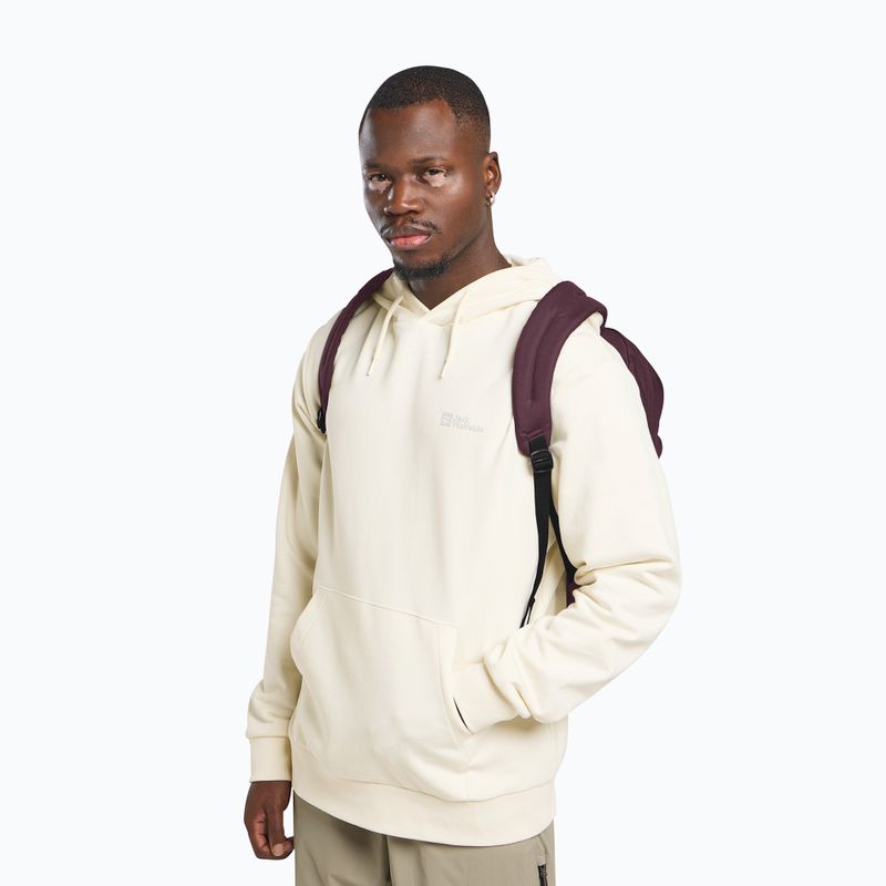 Градска раница Jack Wolfskin Terraview 20 l amaranth 12