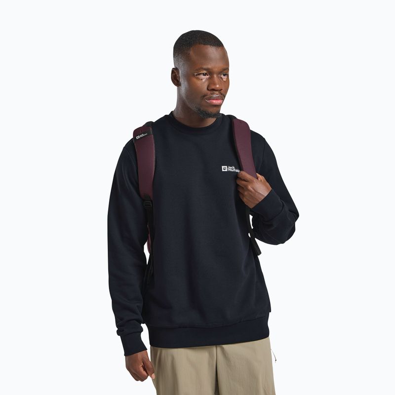 Градска раница Jack Wolfskin Terracade 24 l amaranth 11