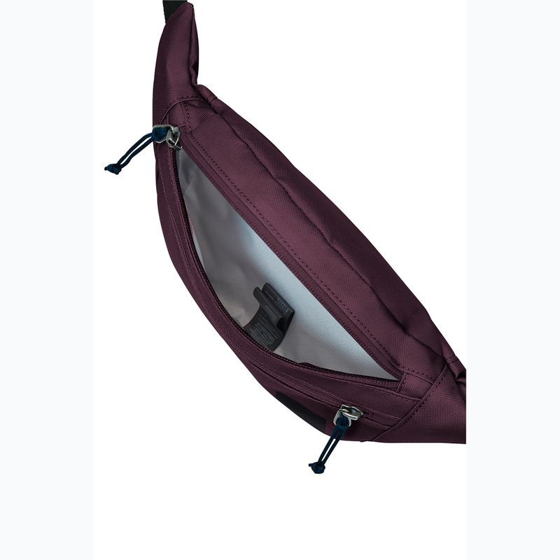 Саше колан Jack Wolfskin Konya Hipbag 2 л амарант 4