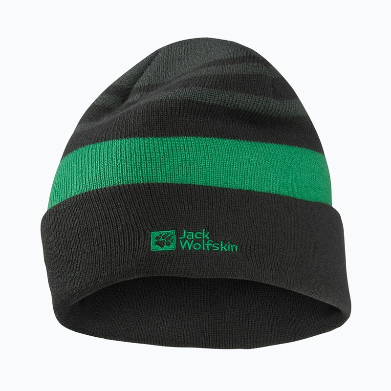 Детска зимна шапка Jack Wolfskin Stripy Knit в цвят шисто зелено/мистично