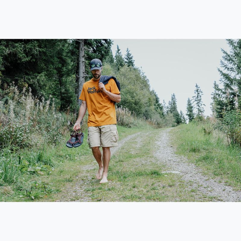 Мъжки сандали Jack Wolfskin Taiga dark mahogany 7