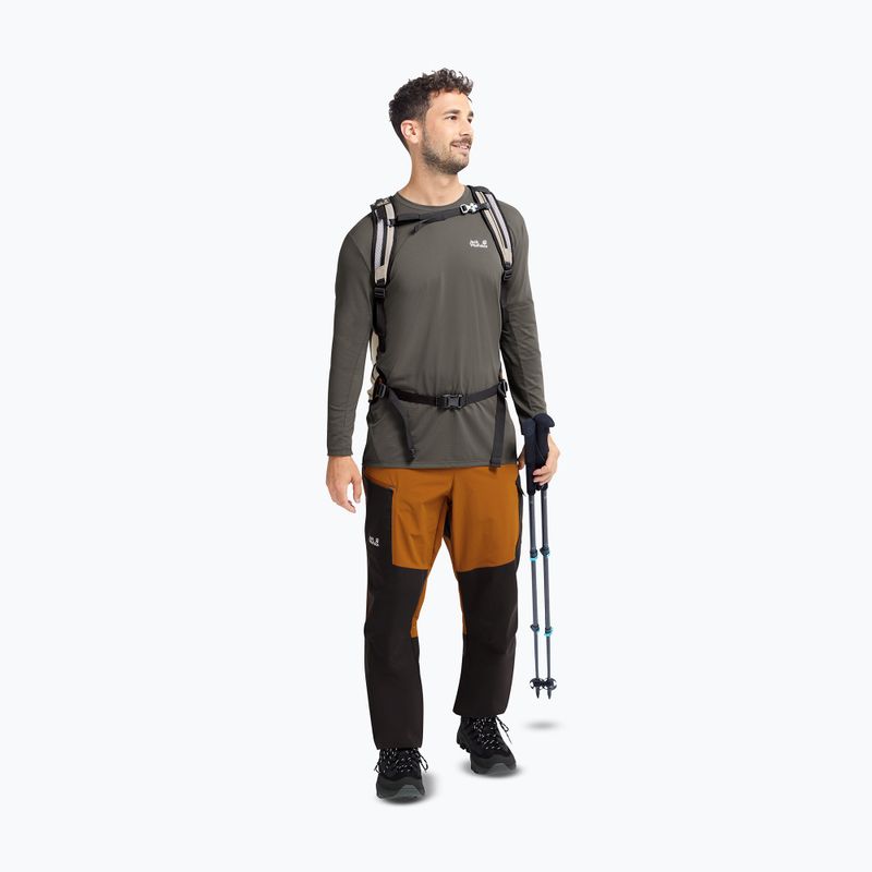 Мъжки обувки за трекинг Jack Wolfskin Apex Hike Texapore Low black 7