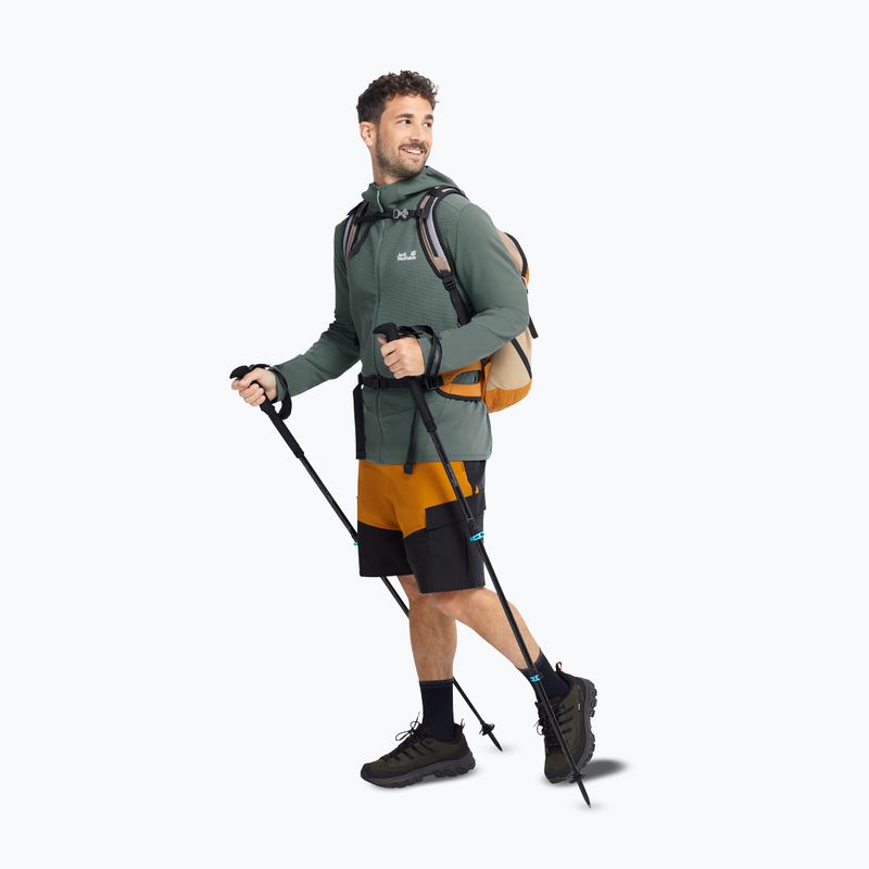 Мъжки обувки за трекинг Jack Wolfskin Apex Hike Texapore Low obsidian moss 7