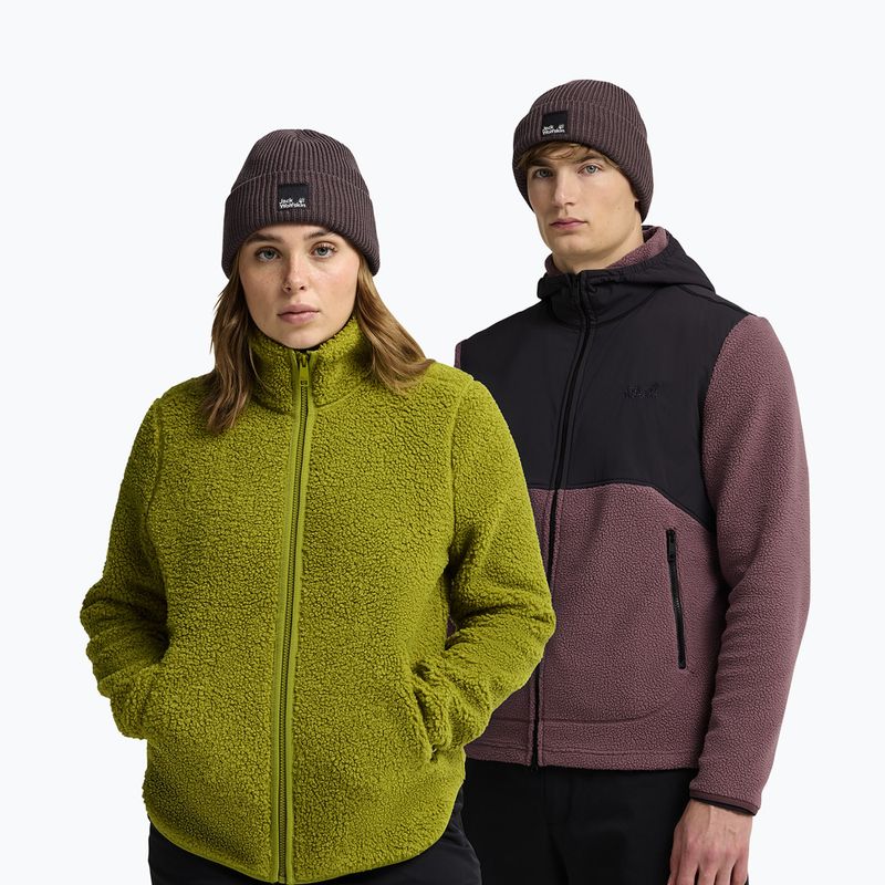 Зимна шапка Jack Wolfskin Pergamon Beanie sheer plum 4