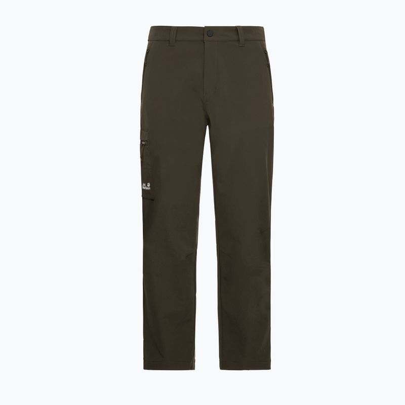 Мъжки панталони за трекинг Jack Wolfskin Activate Flex obsidian moss 7