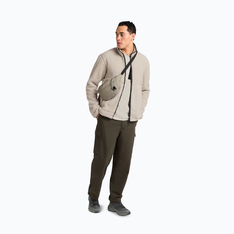 Мъжки поларен суитшърт Jack Wolfskin Stone Lite oyster 2