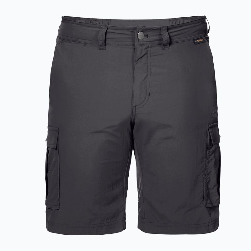 Мъжки къси панталони за трекинг Jack Wolfskin Canyon Cargo grey 1504201_6168 5