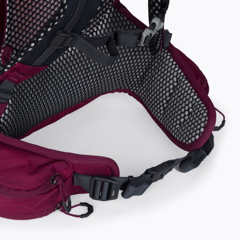 Jack Wolfskin Crosstrail ST 22 л туристическа раница бордо 2009562_2222 6