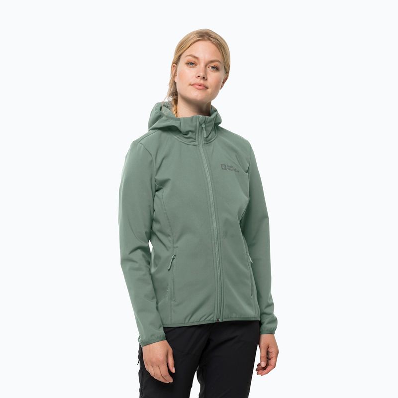 Дамско софтшел яке Jack Wolfskin Bornberg Hoody green 1307691