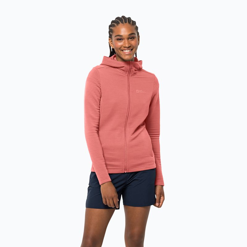 Дамско яке за трекинг Jack Wolfskin Modesto С качулка и избледняла роза