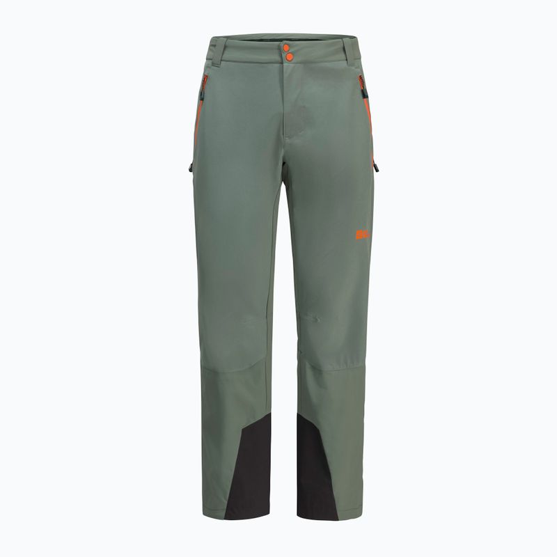 Мъжки панталони за трекинг Alpspitze Tour hedge green от Jack Wolfskin 10