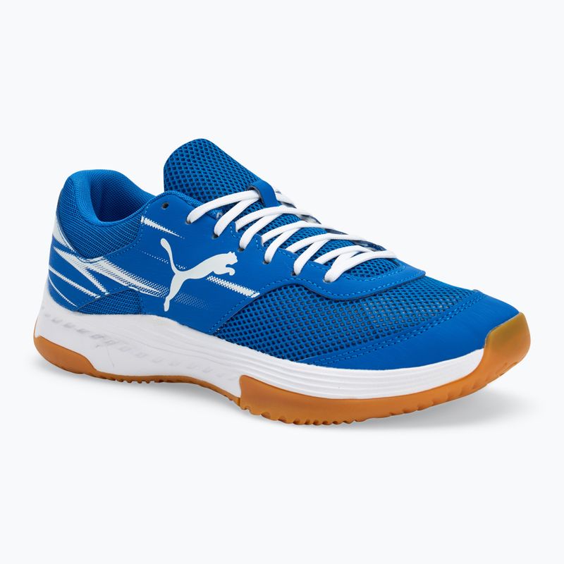 Мъжки спортни обувки за зала PUMA Varion II puma team royal/puma white/gum