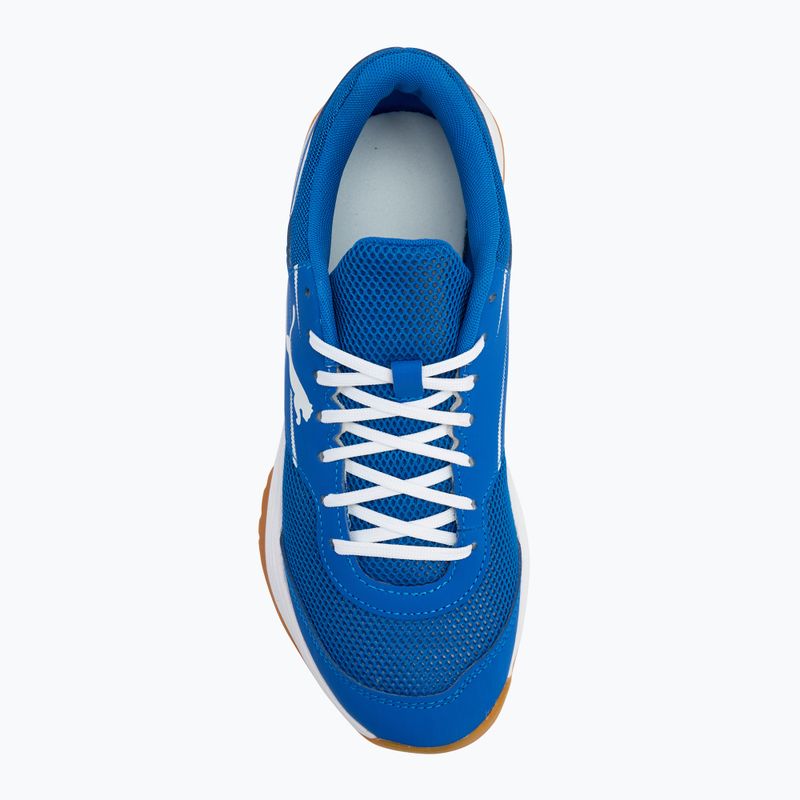 Мъжки спортни обувки за зала PUMA Varion II puma team royal/puma white/gum 5