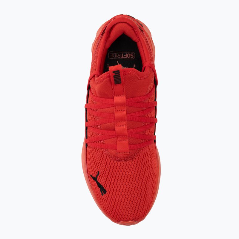 Обувки за бягане PUMA Softride Carson Fresh for all time red/puma black 5