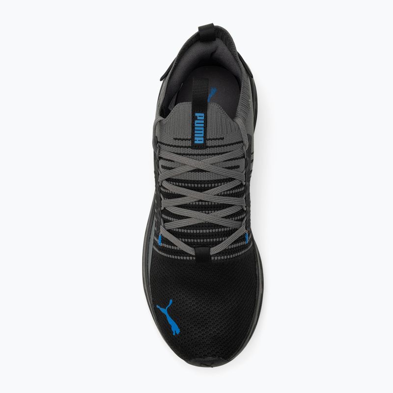 Обувки за бягане PUMA Softride Symmetry Fuzion puma black/cool dark gray/puma team royal 5