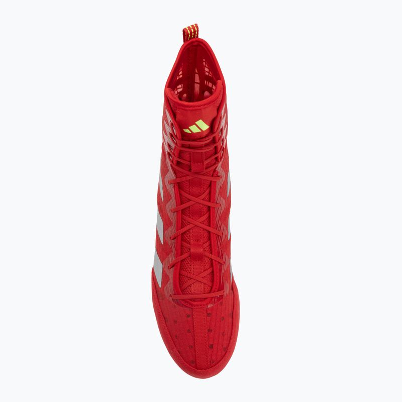 Боксьорски обувки adidas Box Hog 4 red 5