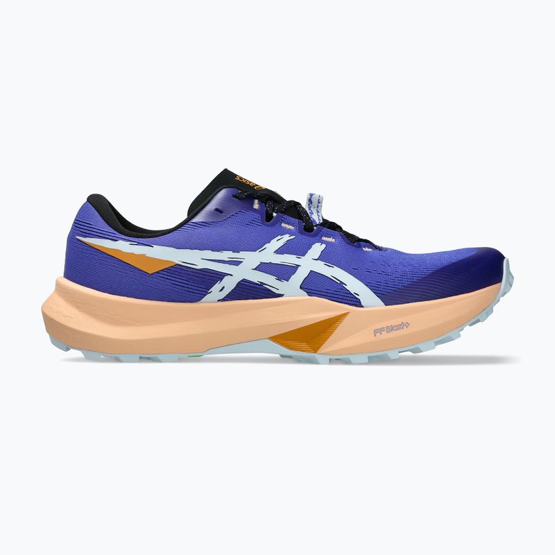 Мъжки обувки за бягане ASICS Fuji Lite 6 cobalt burst/cool grey 8