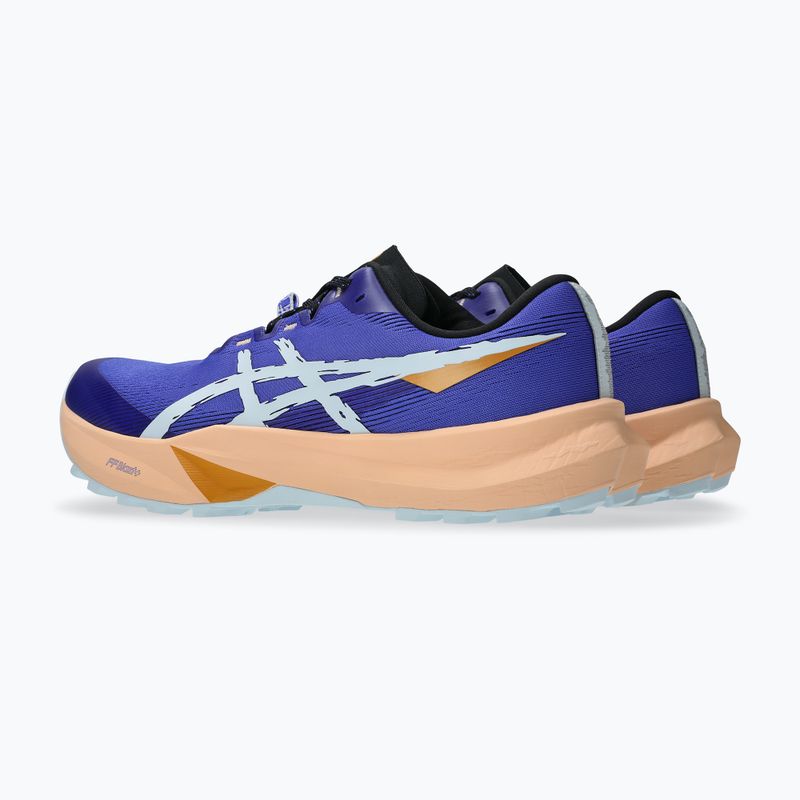 Мъжки обувки за бягане ASICS Fuji Lite 6 cobalt burst/cool grey 11
