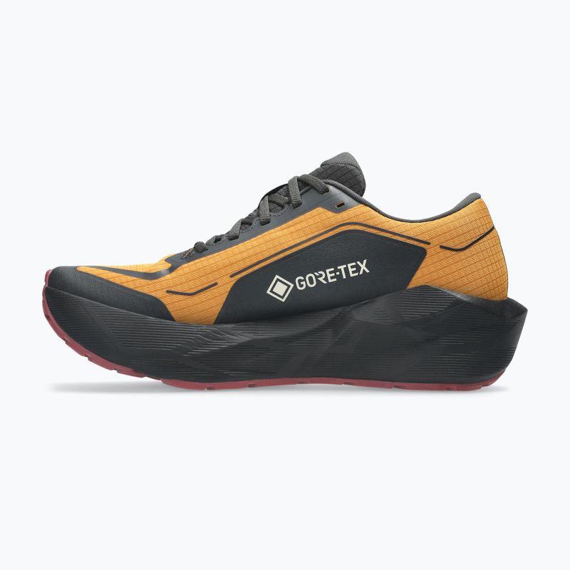 Мъжки обувки за бягане ASICS Novablast 6 GTX sandstorm/black 3