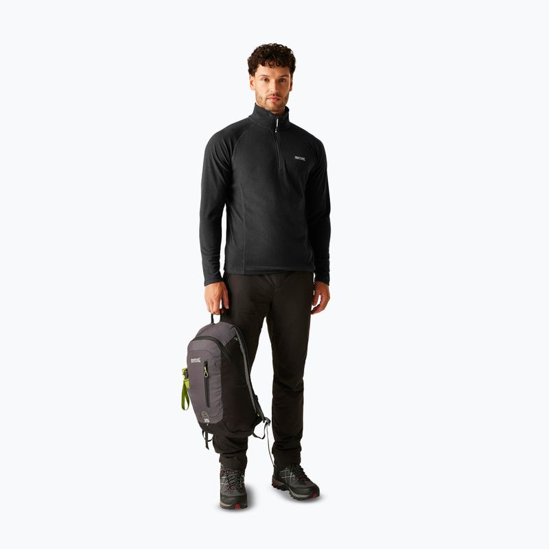 Мъжки суитшърт REGATTA Montes ash 2