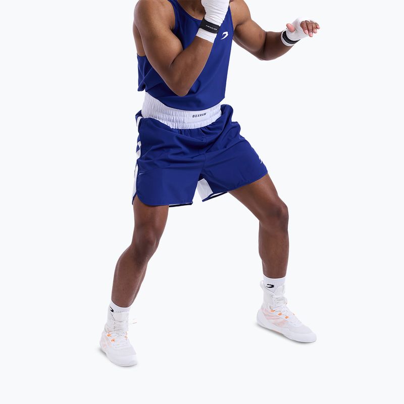 Мъжки тренировъчни шорти Boxraw Stevenson V2 blue/white 5