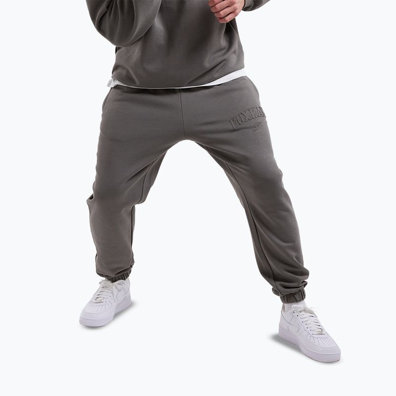 Мъжки панталони за бягане Boxraw East Street Bottoms distressed grey 4