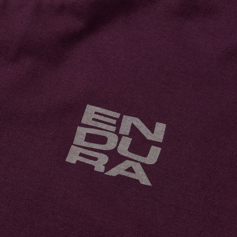 Тениска за колоездене Endura Stacked Logo Graphic Tee black cherry 3