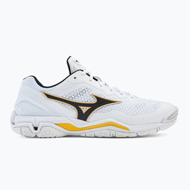 Мъжки обувки за хандбал Mizuno Wave Stealth V white X1GA180013 2