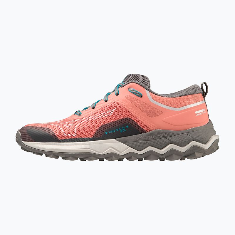 Дамски обувки за бягане Mizuno Wave Ibuki 4 GTX lantana/quiet shade/buebird 12