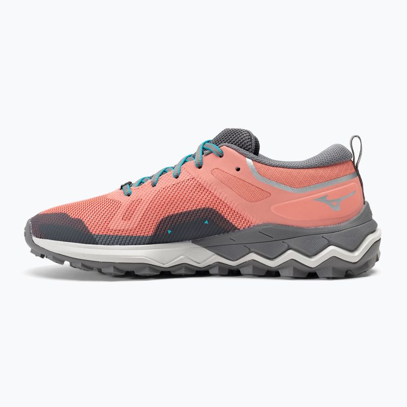 Дамски обувки за бягане Mizuno Wave Ibuki 4 GTX lantana/quiet shade/buebird 10