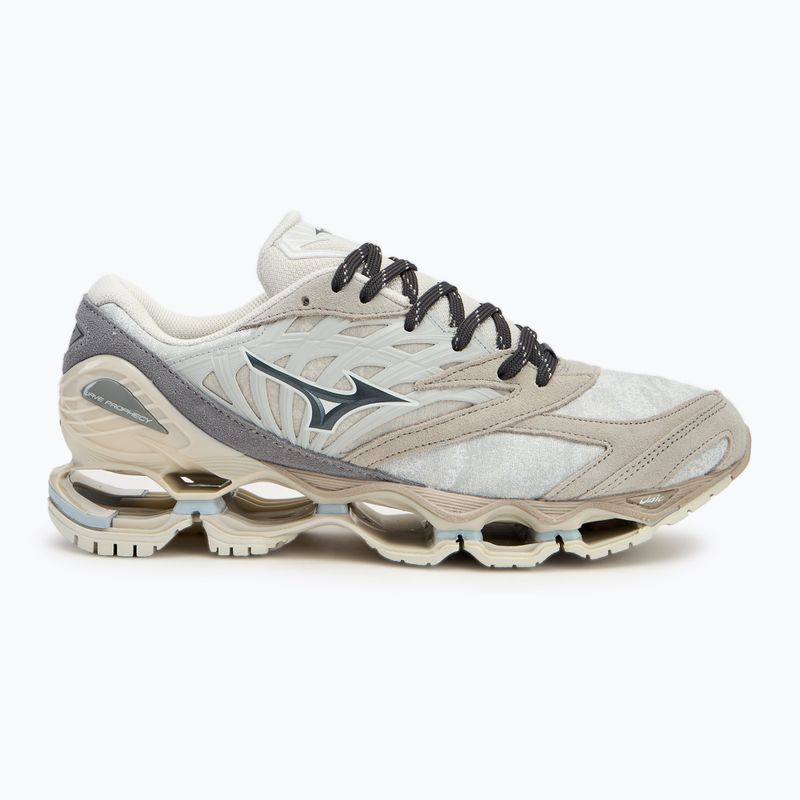 Обувки Mizuno Wave Prophecy LS nimbus cloud/magnet/silver cloud 2