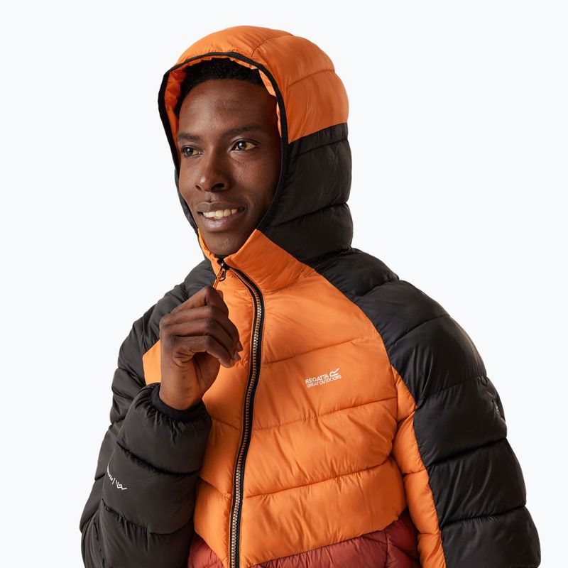 Мъжко пухено яке REGATTA Hooded Dalent fox/red ochre 4