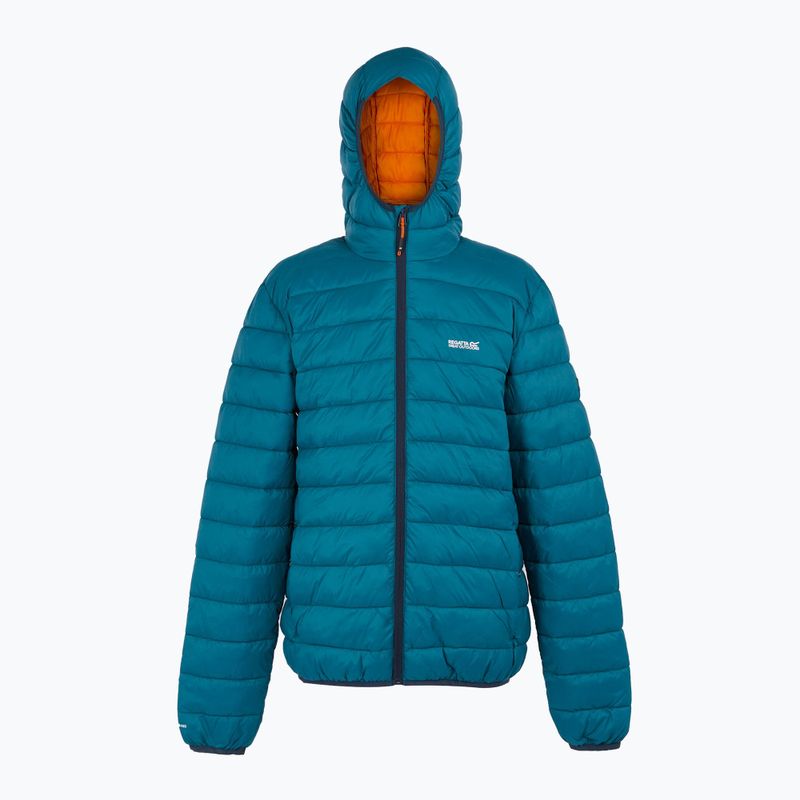 Мъжко пухено яке REGATTA Hooded Marizion maroccan blue/fox 8